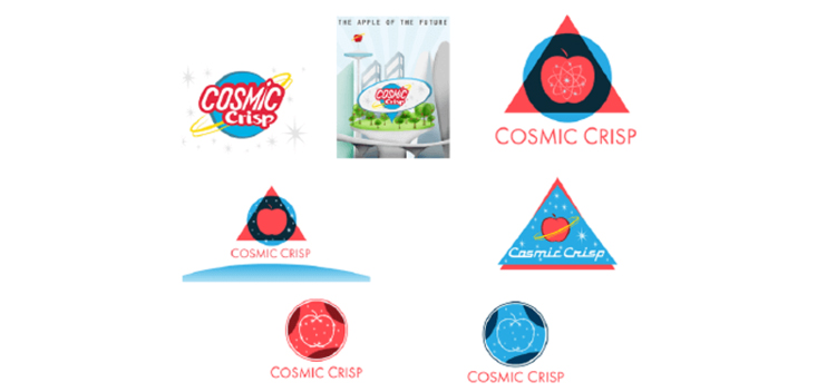 https://provarmanagement.com/wp-content/uploads/2017/09/pvm-case-studies-logo-design-cosmic-crisp-cosmic-crisp-logo-options.jpg