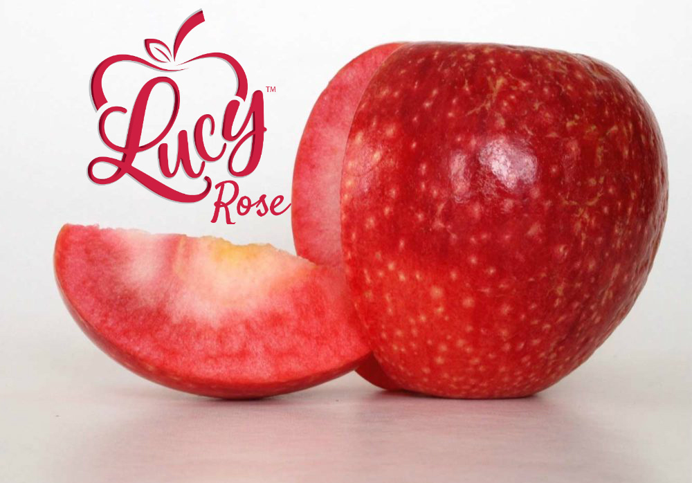 Where Can I Buy Lucy Rose Apples