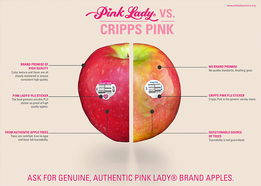 Apple - Pink Lady - tasting notes, identification, reviews