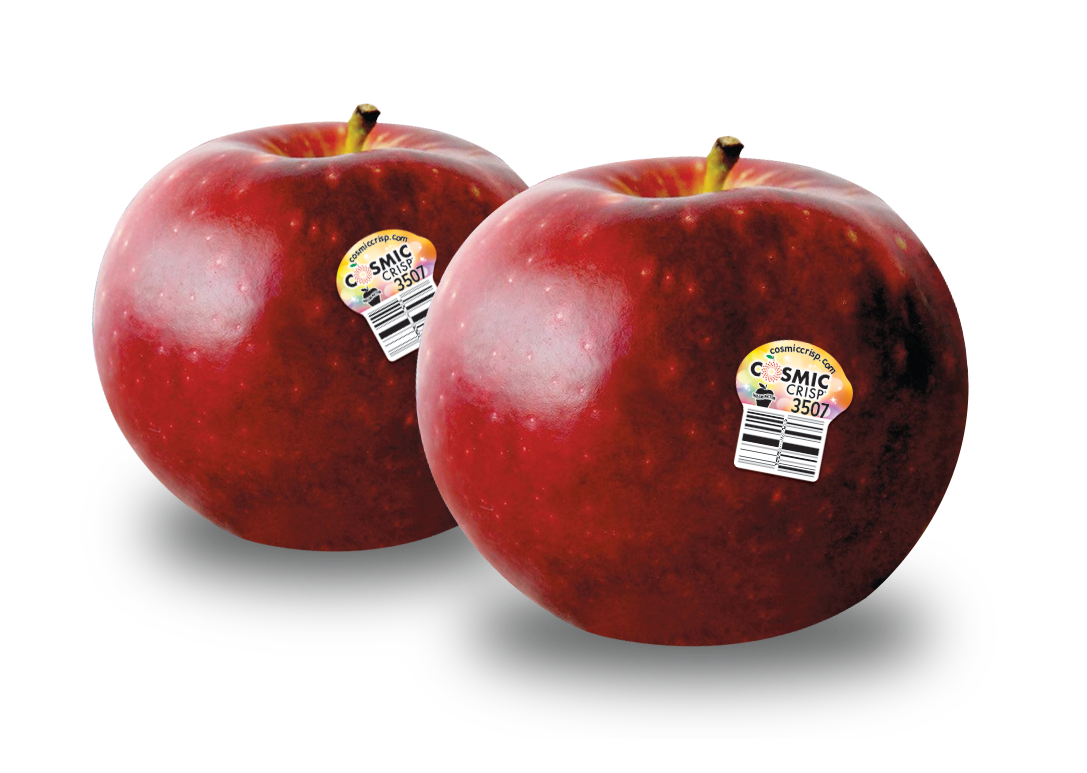 Cosmic Crisp® Apple Story