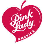 pink-america-logo