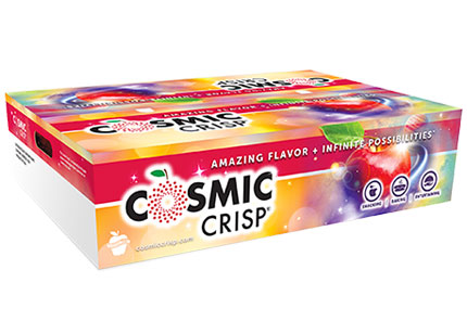 Cosmic Crisp® Apple - Dozen