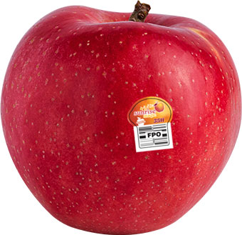 Red Delicious Apples Washington State Fresh Produce Fruit 3 lb Bag