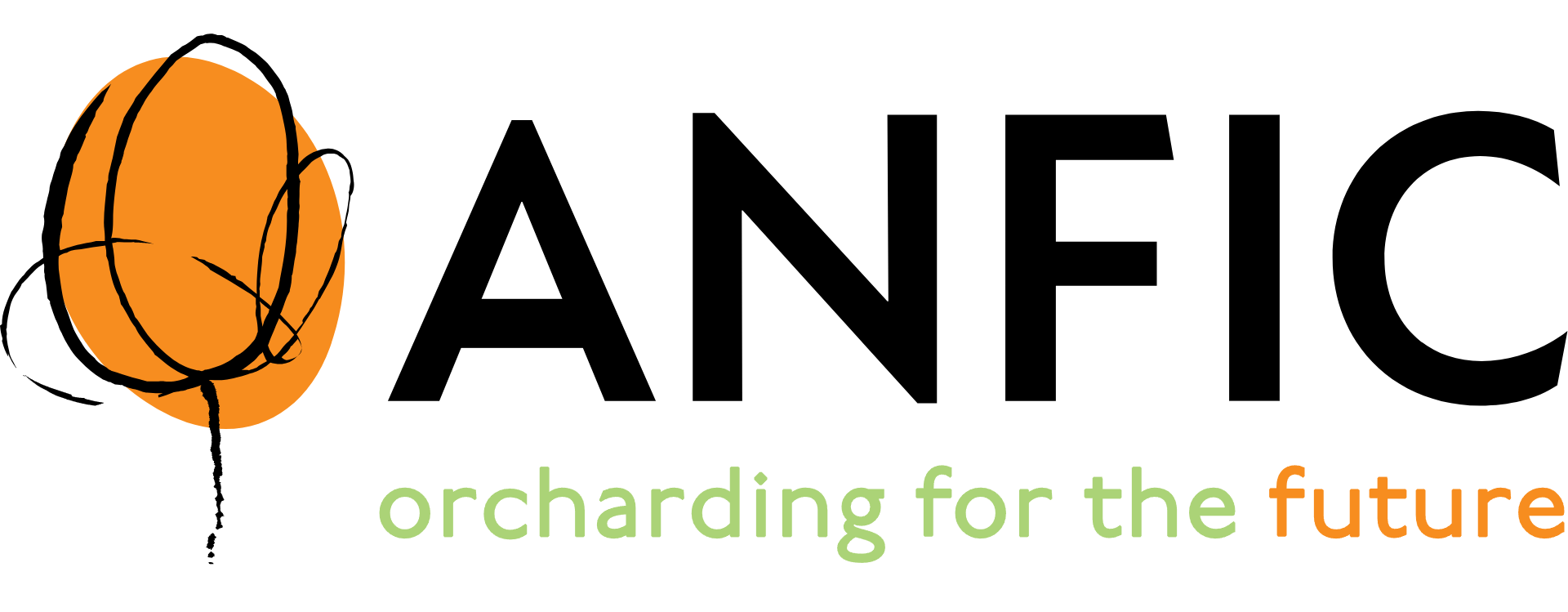 anfic_logo