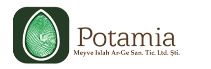 potamia_logo